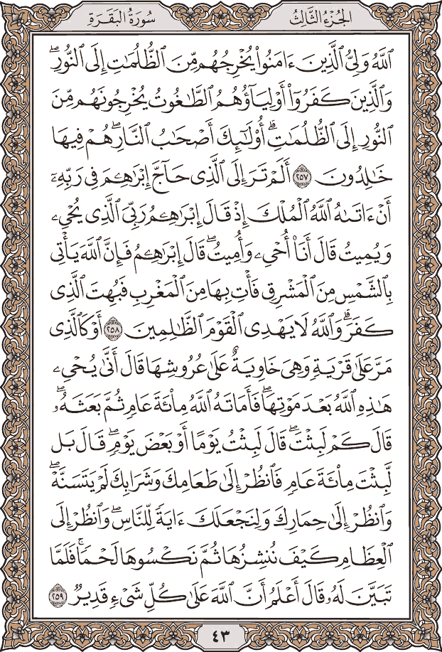 صفحة ٤٣ من المصحف