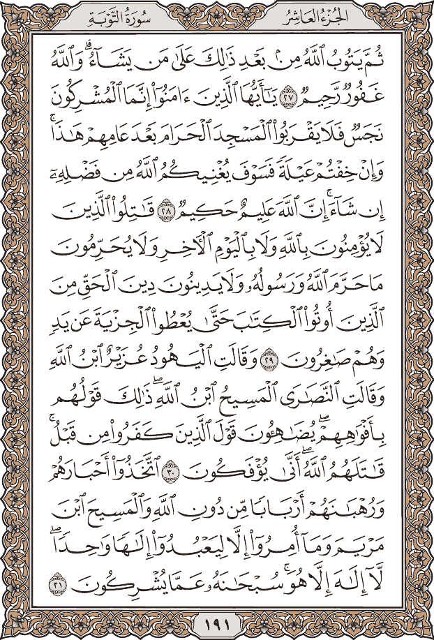 صفحة ١٩١ من المصحف
