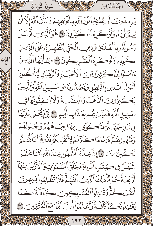 صفحة ١٩٢ من المصحف