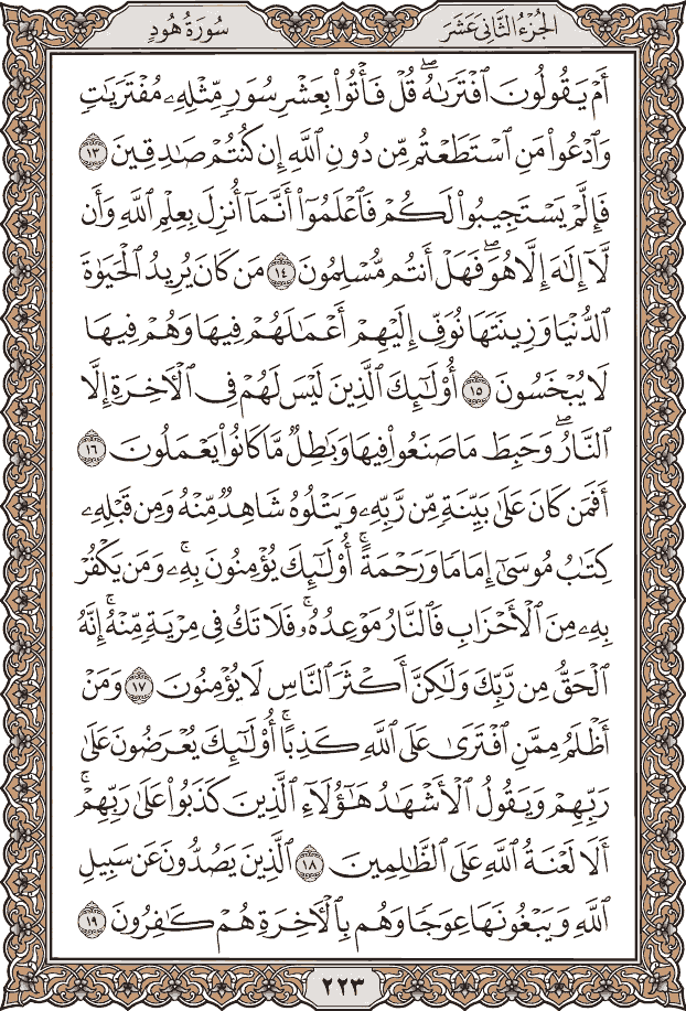 صفحة ٢٢٣ من المصحف