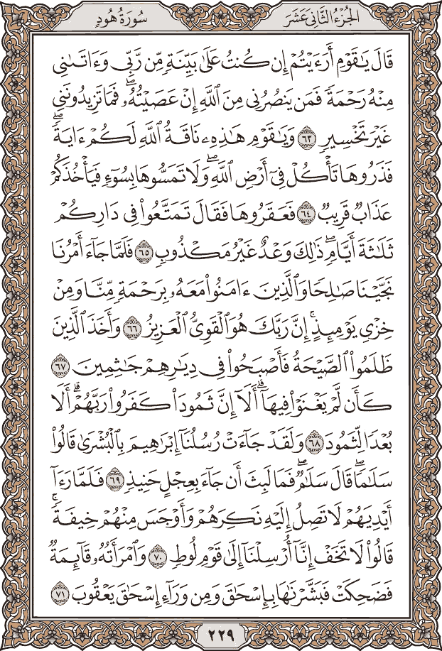 صفحة ٢٢٩ من المصحف