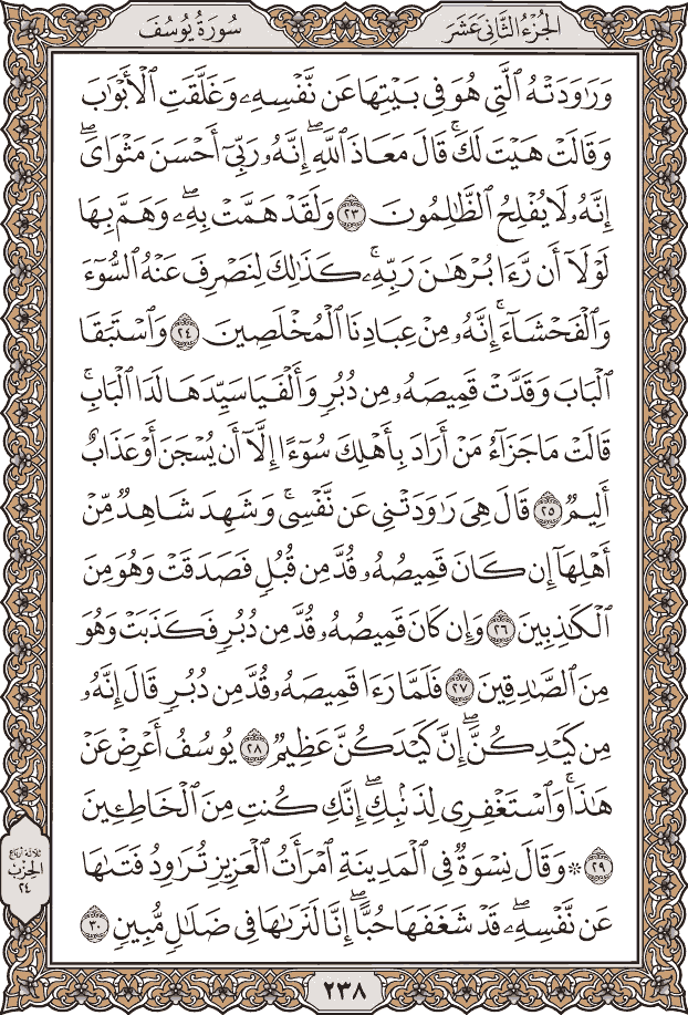 صفحة ٢٣٨ من المصحف