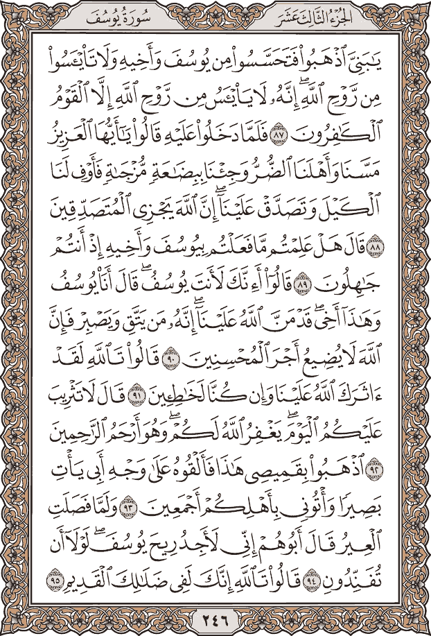 صفحة ٢٤٦ من المصحف