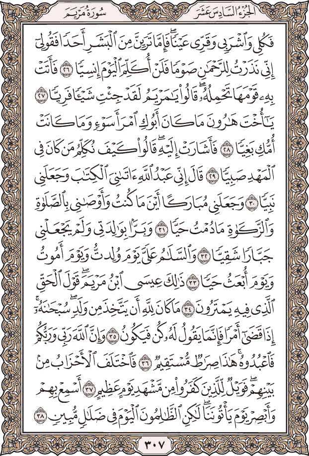 صفحة ٣٠٧ من المصحف