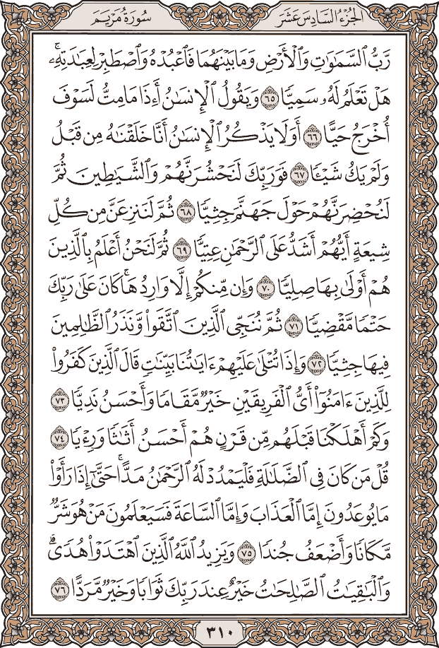 صفحة ٣١٠ من المصحف