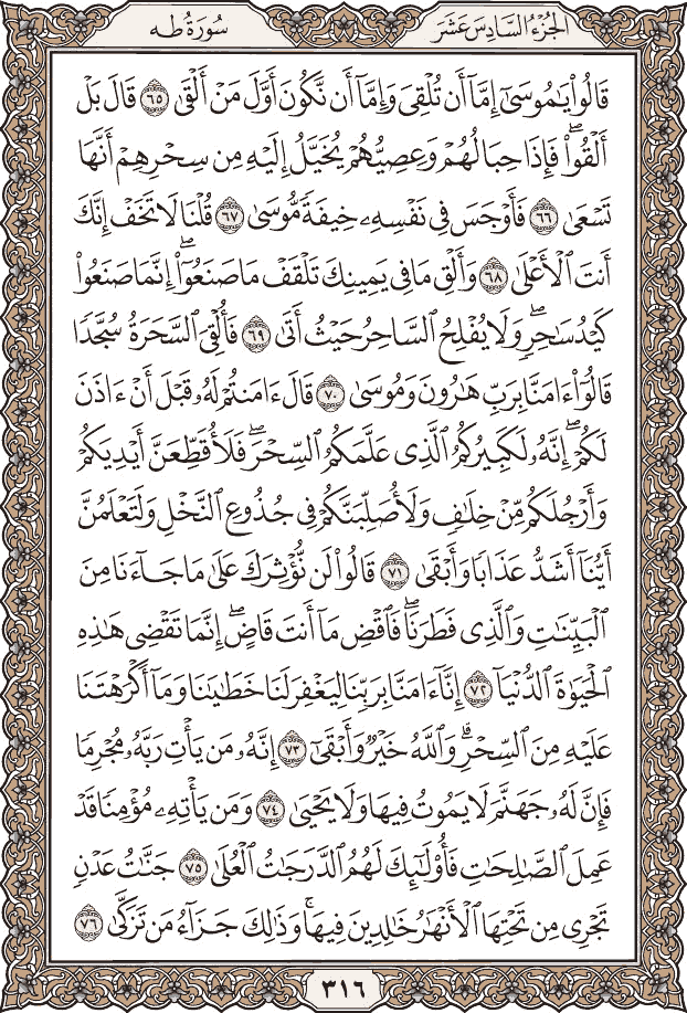 صفحة ٣١٦ من المصحف