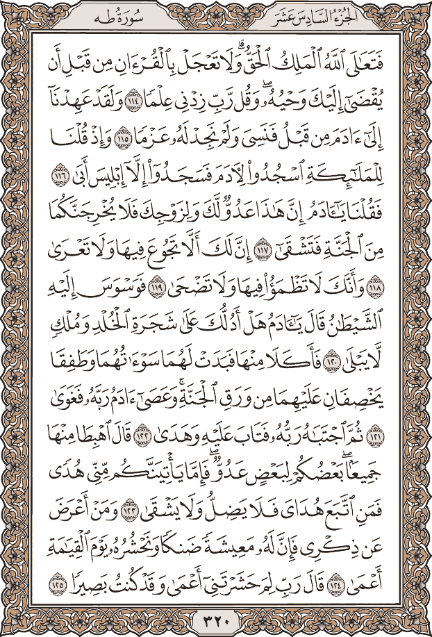 صفحة ٣٢٠ من المصحف