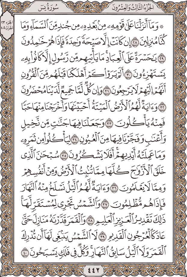 صفحة ٤٤٢ من المصحف