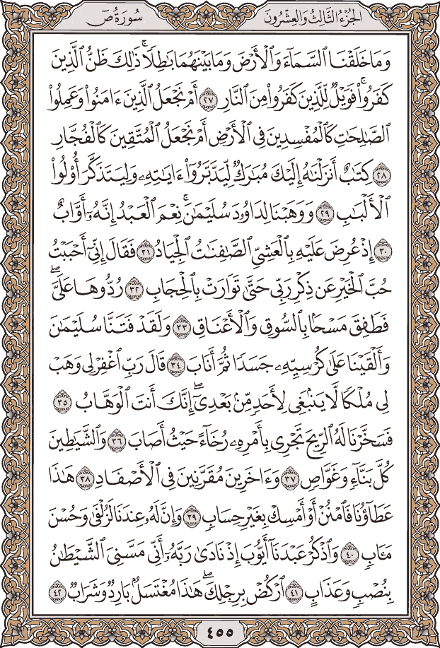 صفحة ٤٥٥ من المصحف