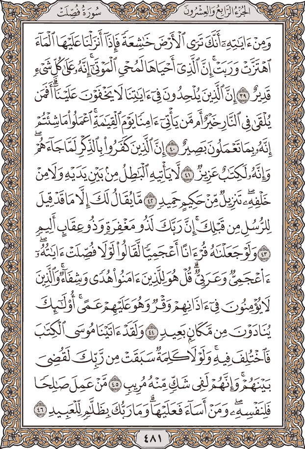 صفحة ٤٨١ من المصحف