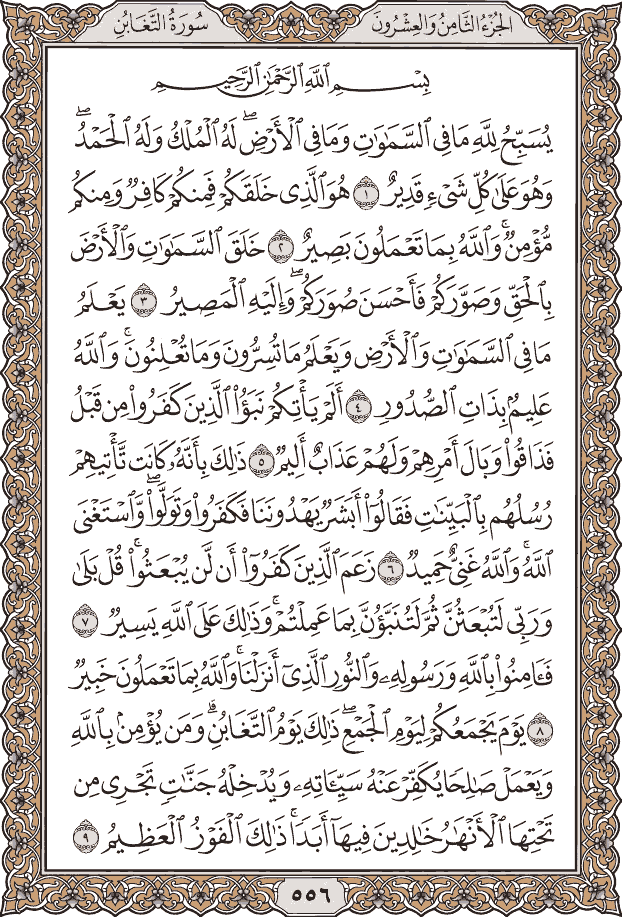 صفحة ٥٥٦ من المصحف